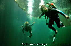 This picture is taken in a "Cenote"
Cenotes are very fam... by Ernesto Ortega 